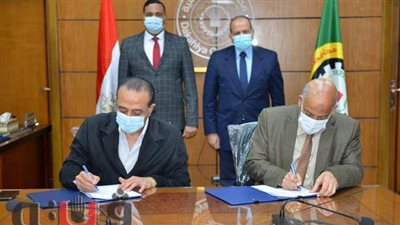 بعد 20 عاماً.. حل مشكلة الكهرباء لـ 968 وحدة سكنية بالمنصورة