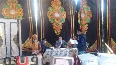 إقبال متوسط على انتخابات نقابة المحامين بنجع حمادي |صور