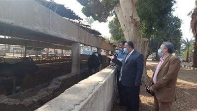 محافظ أسيوط يشدد على متابعة المشروعات الإنتاجية | صور