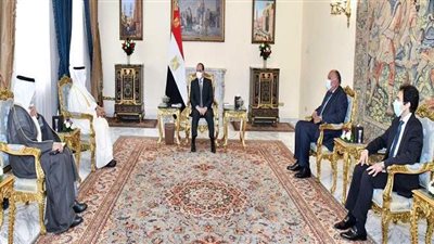السيسي يؤكد ارتباط أمن الخليج بالأمن القومي المصري كأحد ثوابت سياستنا الراسخة