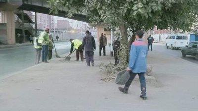 تجريد ورفع أتربة بـ ربيع الجيزي والجزيرة الوسطى في الجيزة |صور