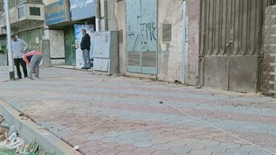 تركيب بلدورات وانترلوك على أرصفة ربيع الجيزي |صور