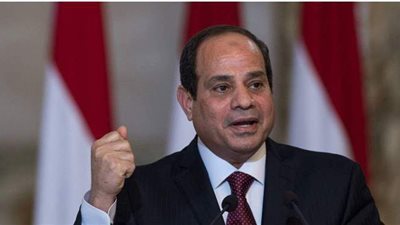 السيسي: نقاتل في مفاوضات سد النهضة للحفاظ على حقوقنا المائية
