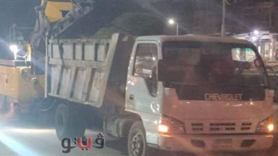 رفع 55 طن أتربة من شوارع الدقهلية | صور