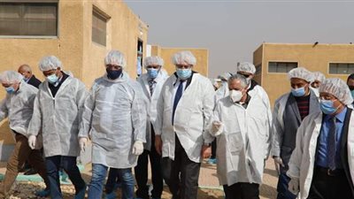 سعر البيضة 6 دولارات.. تعرف على مشروع إنتاج البيض الخالي من المسببات المرضية في الفيوم