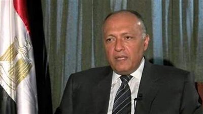 سامح شكري: اجتماع وزراء الخارجية العرب رسالة للعالم | فيديو