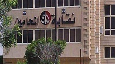 بالأرقام.. النتائج النهائية لانتخابات فرعية محامين سوهاج