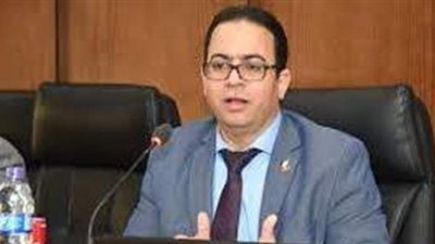 جميل حلمي: مبادرة 