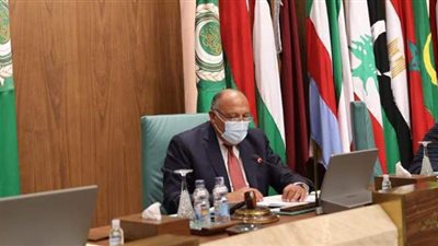 سامح شكري: القضية الفلسطينية لن تموت.. واستقرار المنطقة لن يتحقق إلا بالسلام