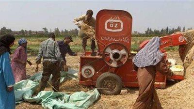 تفاصيل بتر ذراع عامل جذبته ماكينة درس أرز بالدقهلية