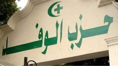 أبو شقة: كشفنا مؤامرة تستهدف إسقاط الوفد