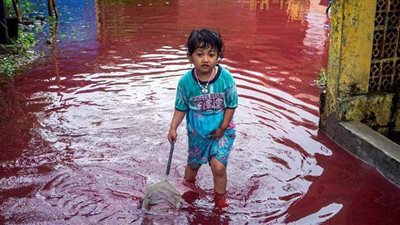 ظاهرة نادرة الحدوث تجتاح قرية في إندونيسيا | صور