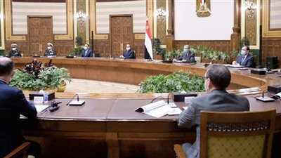 السيسي يبحث التعاون مع شركات بلجيكية للاستثمار في إنتاج الهيدروجين الأخضر