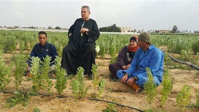 الزراعة تستعين بتوفيق عكاشة لتشجيع المزارعين على التحول إلى الري الحديث