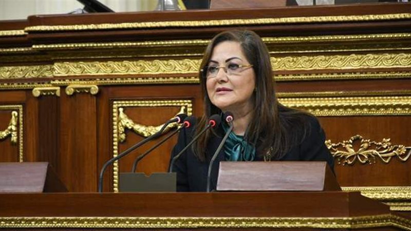 وزيرة التخطيط