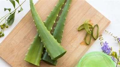 دليلك الكامل للاستفادة من الصبار في العناية بجمالك وحيوية شعرك