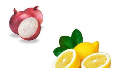 أبرزها البصل والبرتقال.. خبير: حققنا صادرات غير مسبوقة في بعض المحاصيل بسبب كورونا