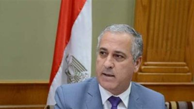 الشوربجي: مؤسساتنا الصحفية غنية بأصولها ولدينا بوابات إلكترونية بلغات أجنبية