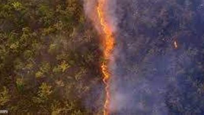 بعد فوزها بـ