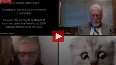 قطة حولاء وبيجامة وشعر منكوش.. طرائف الفيديو كونفرانس أثناء حظر كورونا