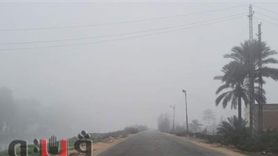 الشبورة المائية تحجب الرؤية في الإسماعيلية