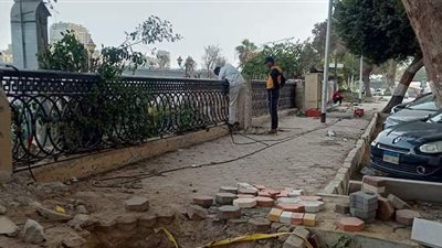 رفع كفاءة شارع النيل السياحي وإزالة التعديات بجنوب الجيزة | صور