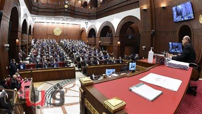 ٢٩٢ مادة في ١٢ بابا.. تقرير تشريعية البرلمان بشأن لائحة الشيوخ