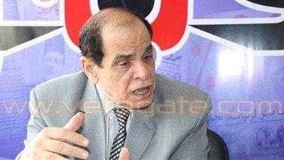 أستاذ قانون: فصل النواب من أحزابهم لا يسقط عضويتهم بالبرلمان