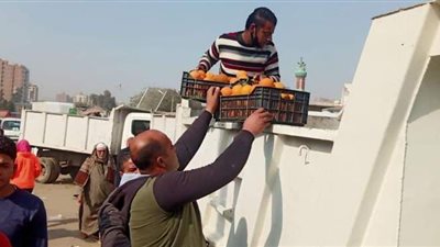 رفع 240 حالة إشغال بالجيزة | صور