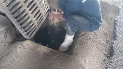 تطهير بالوعات الأمطار بشارعي العجوزة والدقي في الجيزة