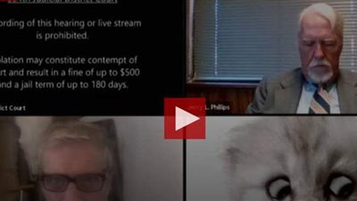 قطة حولاء.. محام أمريكي يتعرض لموقف محرج خلال محاكمة إلكترونية