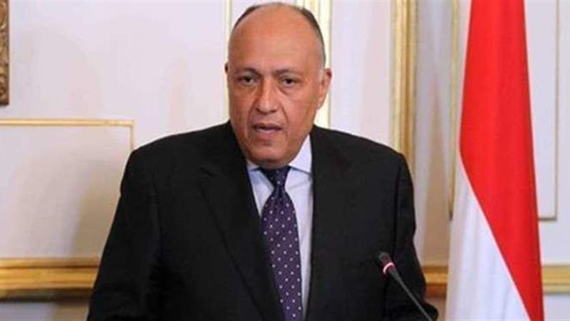 سامح شكري وزير الخارجية