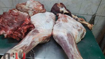 بيطري أسوان يضبط لحوما مذبوحة خارج المجازر في الأسواق | صور