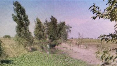 تزامنًا مع القرار الرئاسي.. تفاصيل تطوير مصرف كتشنر بـ 79 مليون يورو