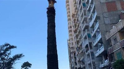 من أزمة إلى كارثة.. 2400 عقار آيل للسقوط في الإسكندرية.. الأهالي ترفض مغادرة المنازل.. وكوم الشقافة وكرموز على حافة الهاوية