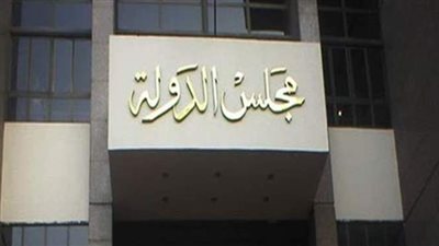 غداً.. الحكم فى دعوى الرفق بالحيوان لوقف قتل قطط وكلاب الشوارع