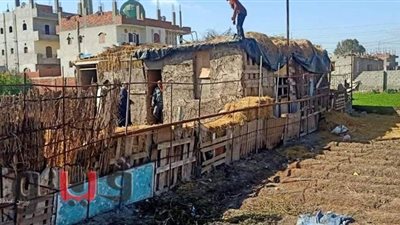 إزالة مبنى مخالف ورصف الكوبري الجديد في ديرب نجم بالشرقية