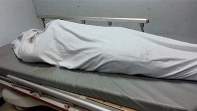 مصرع لص أثناء سرقة محول كهرباء بالبحيرة