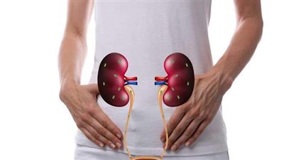 أعراض التهاب المجاري البولية