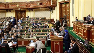 البرلمان يوافق على تشكيل اللجنة العامة لمجلس الشيوخ واختصاصاتها
