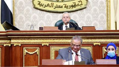 البرلمان يرفض أحقية مجلس الشيوخ في استحداث لجان نوعية جديدة