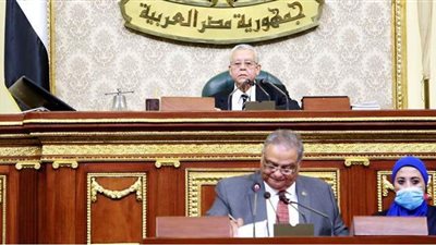 خلاف بالبرلمان بسبب الاتفاقيات والشريعة الإسلامية بلائحة مجلس الشيوخ