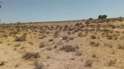 فواتير الكهرباء تهدد أراضي الوادي الجديد بـ