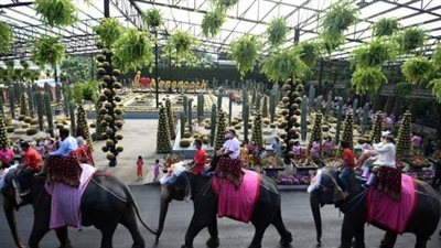 بمناسبة عيد الحب.. زفاف جماعي على ظهور الأفيال في تايلاند | صور