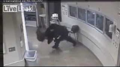 بالفيديو.. لحظة اعتداء شرطى على فتاة «سكرانة» أثناء مداهمة شقتها