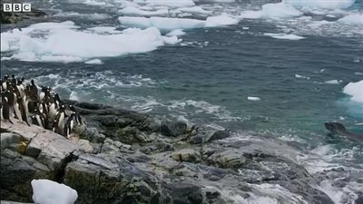 فيلم وثائقي يخطف الأنظار بمشاهده الجريئة (فيديو وصور)