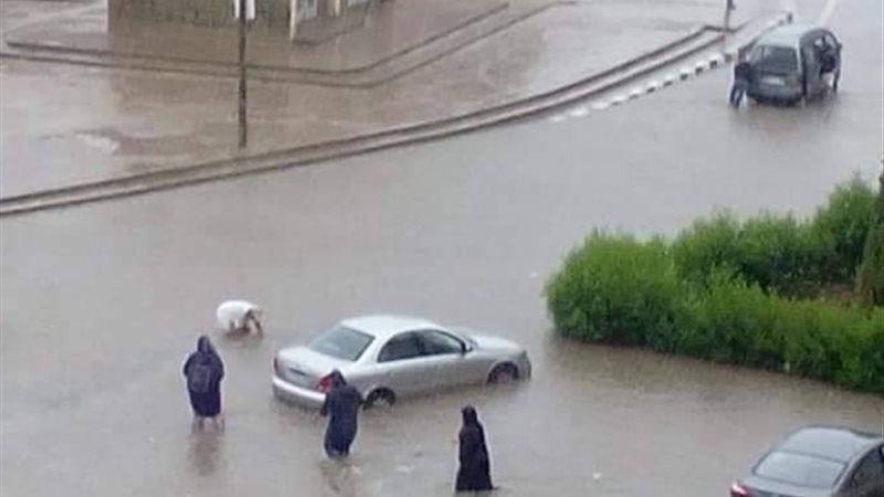 فيتو
