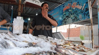 بالصور.. ارتفاع أسعار الفسيخ والرنجة والأسماك بالإسماعيلية