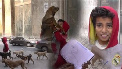 بالفيديو.. مواهب أطفال الشوارع.. «معاذ» يفتتح أول معرض للوحاته بعد بيع المناديل على سلم المترو.. «عبد الرحمن» يقدم عروض رقص مع الكلاب لكسب قوت يومه.. وفارس يتحول من متسول إلى لاعب 