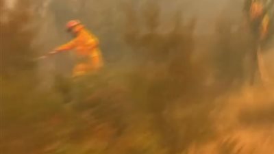 بالفيديو.. استمرار حرائق الغابات في أستراليا